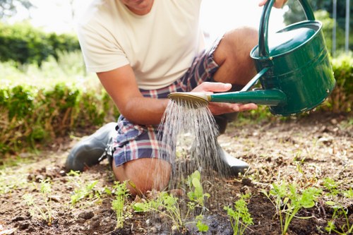 Community gardener tending raised beds at Forest Hill plot entrance