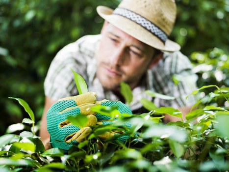Payment security tips for Gardeners